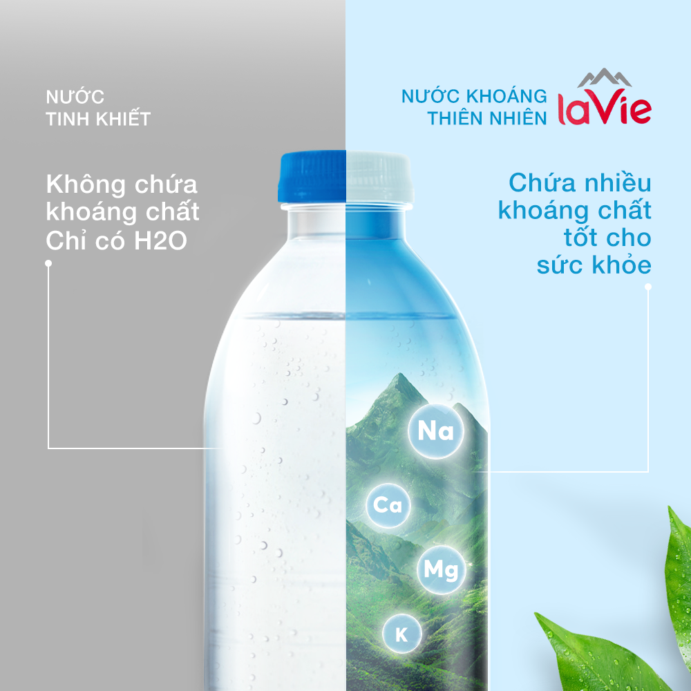 126845320_3848585531839679_9045970066000036595_n